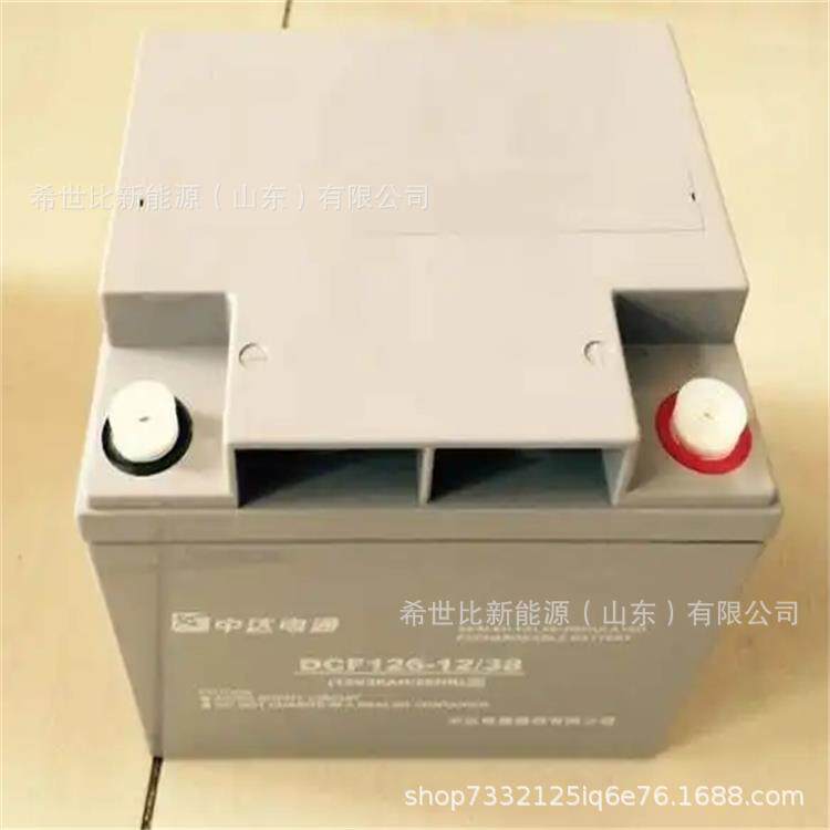 中达电通蓄电池DCF126-12/3312V33AH核电厂报警及系统