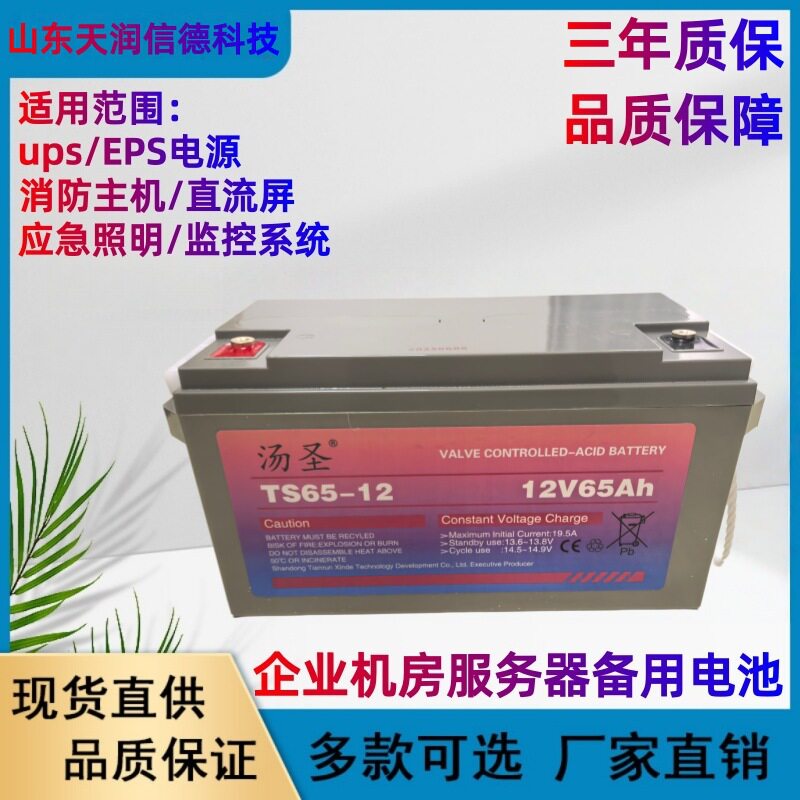 蓄电池12v65ah应急电源电池ups电池12vups电源eps电源直流屏备用
