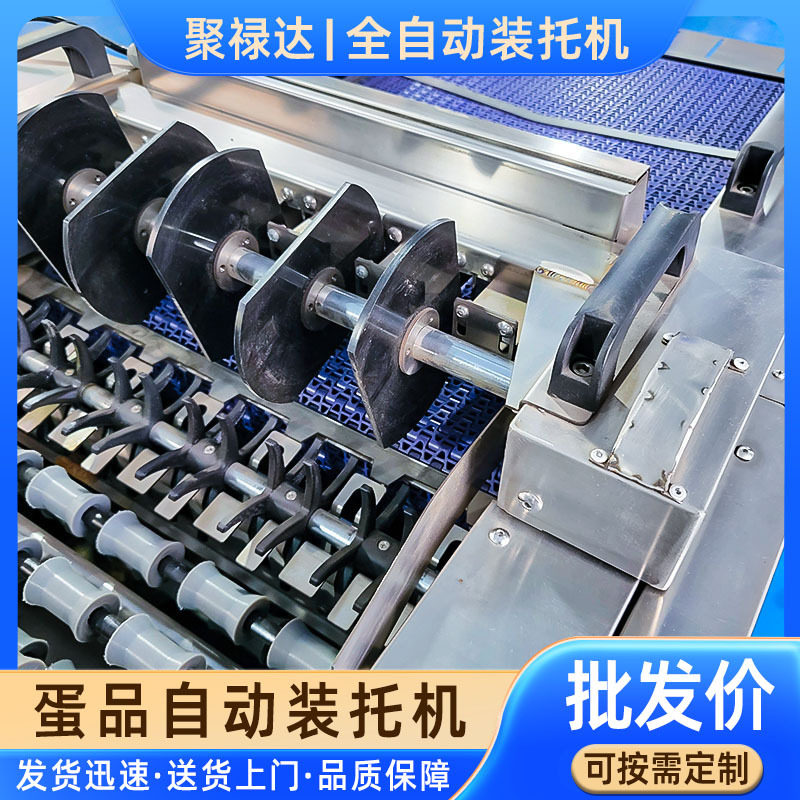 鸡蛋鸭蛋装托机禽蛋自动分拣蛋品装纸托塑料托不锈钢材质机器