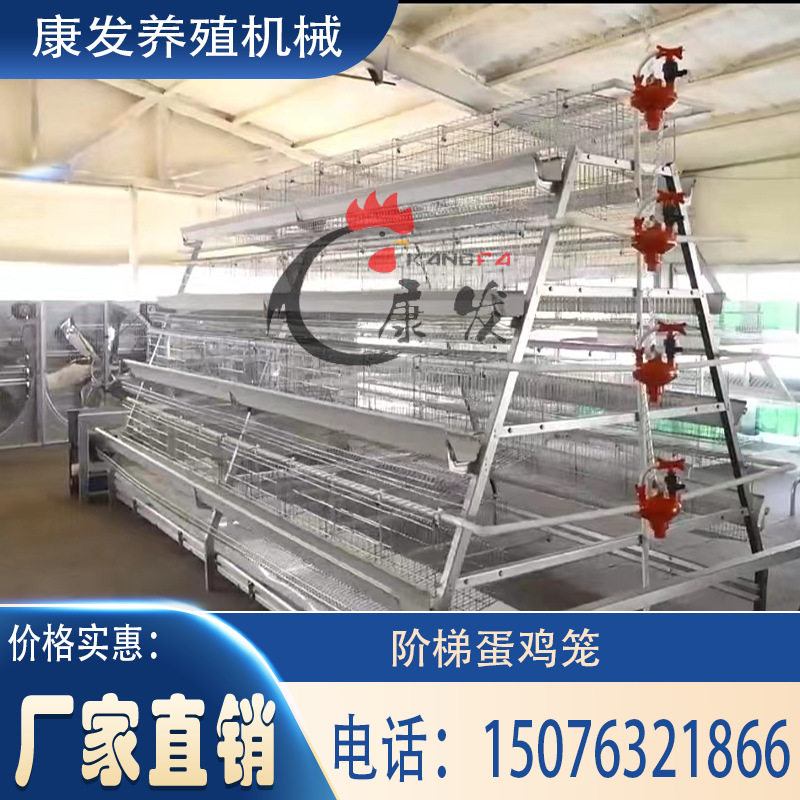 厂家直销A型蛋鸡笼热镀锌全自动清粪养鸡设备三层四层阶梯式鸡笼