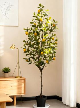 仿真檬柠OXD商树绿植假果树造景家居厅场店铺橱窗客酒店餐厅装饰