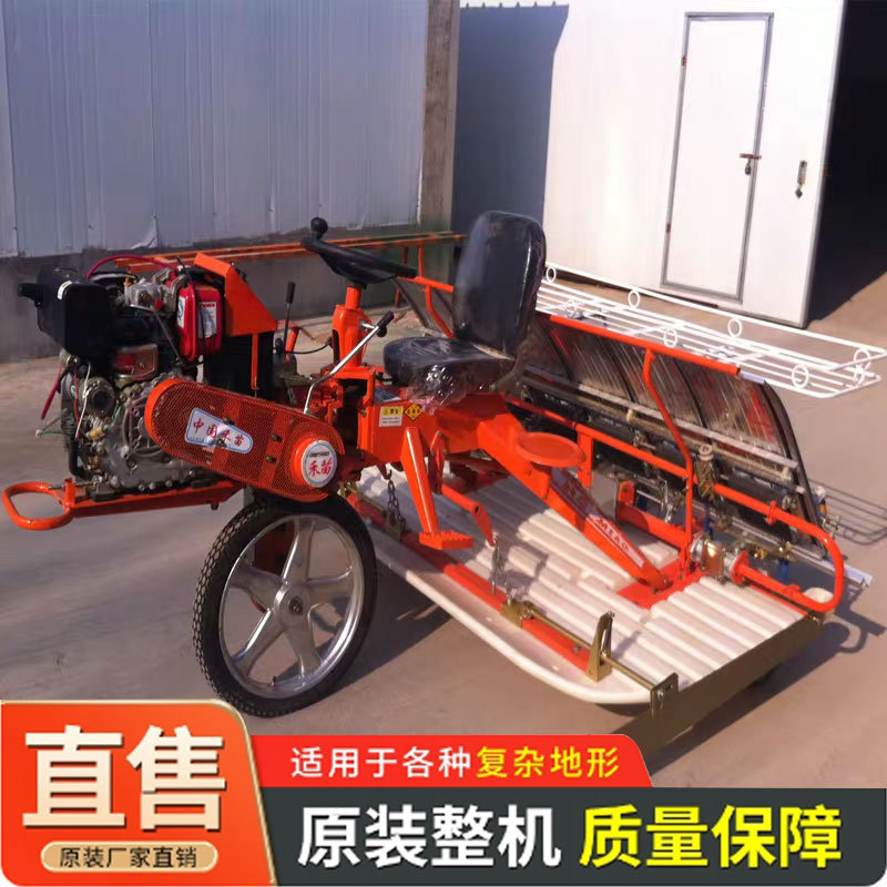 六行八行水稻插秧机禾苗稻子苗种值机乘坐式高速柴油插秧机播种机