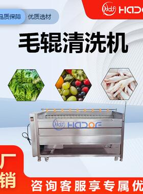 根茎类蔬TSY菜毛刷豆辊清红洗连续式洗姜机机全自动薯土清洗去皮