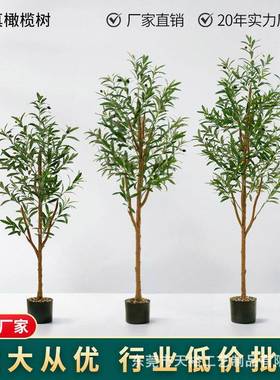 仿榄树尤加利可拆装盆栽客厅橱橄造景装饰75207摆件厂窗家直真销