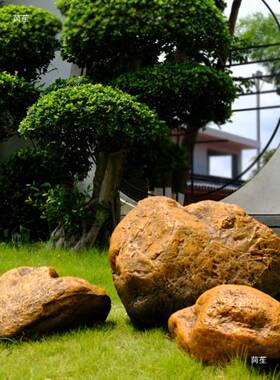 黄蜡石乌龟晒道摆件龙石造景组台合大块岩石PXT具假山刻青字