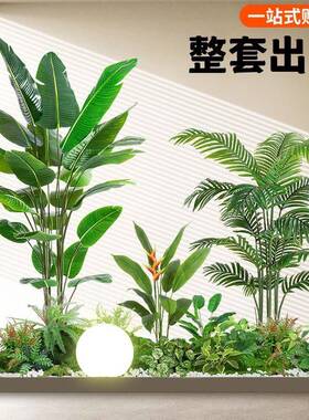 绿组植造景楼合梯下商37315场热景带假植物观假树室内盆栽装饰摆