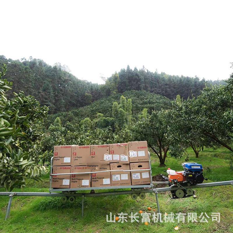 轨运输车山地丘陵运HGU工具稻水苗圃蔬搬菜单果园送苗车