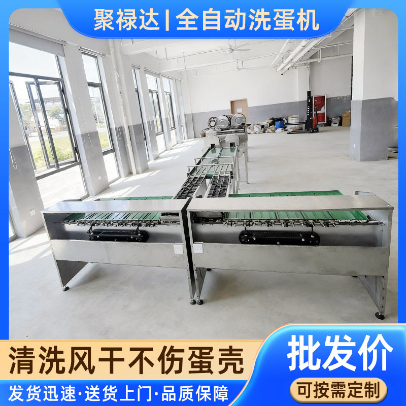 商用全自动双排洗蛋风干流水线