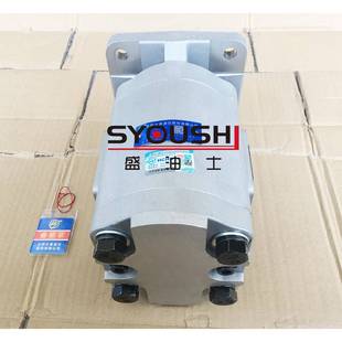 合肥长源齿轮泵CBG100-BLP/HBLP2L/BLH/BLL/HBITVFP/BFPL/BFH/BFL