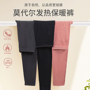 高腰秋裤 外贸莫代尔保暖裤 打底裤 女士修身 大码