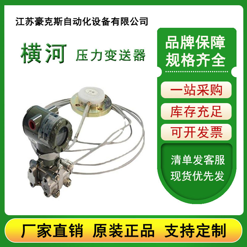 隔膜密封式压力变送器/118W/210A/438W/110E压力变送 器图片
