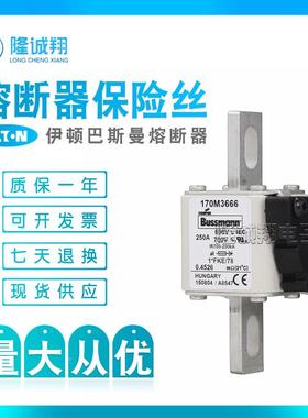 【熔断器险丝】170M3666170MOEB36667170M3668170M369170保M3670