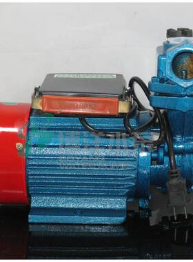 Z上海产DB0清水自吸泵,增DBZ压自吸生泵,家用自吸泵,22V自吸泵