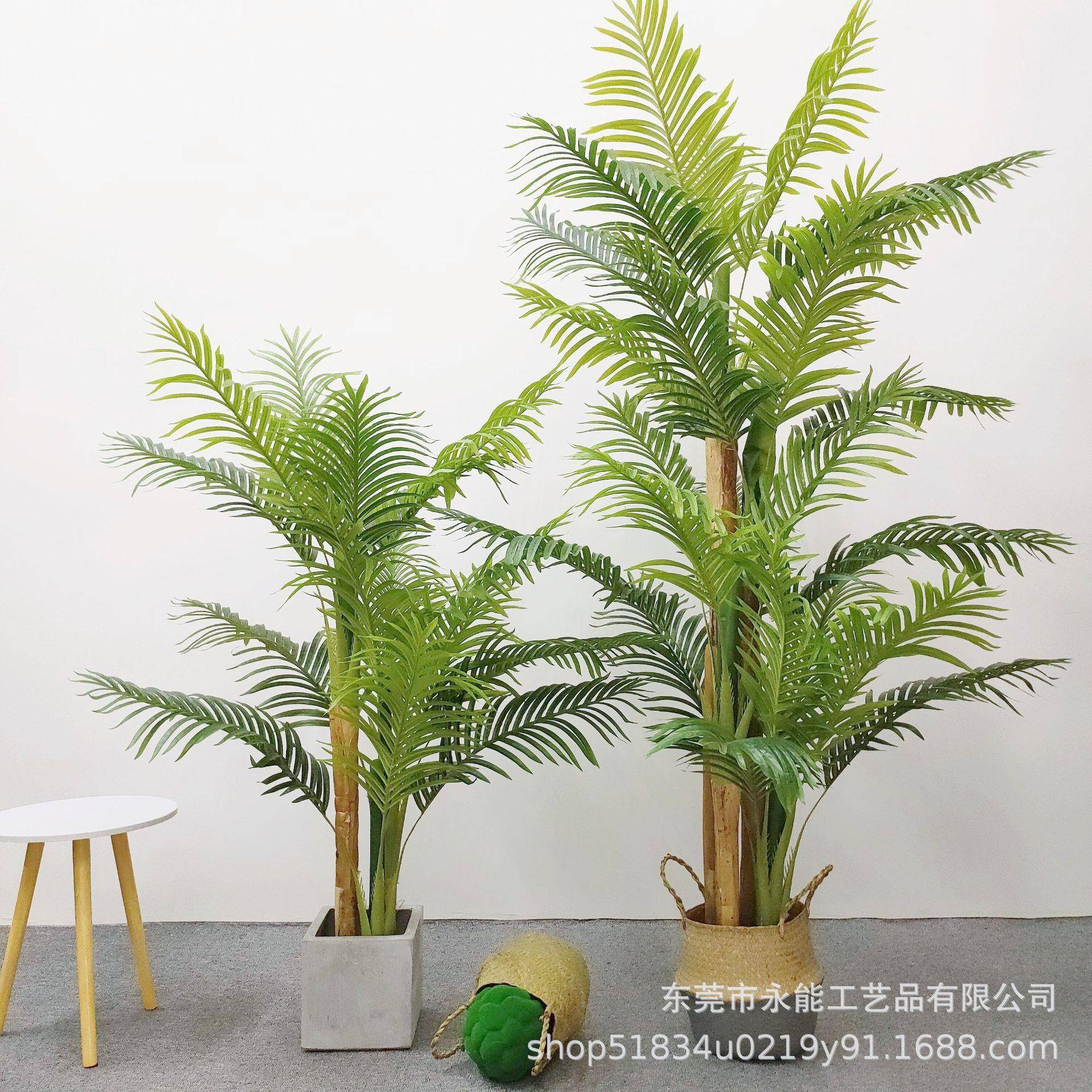 仿真蕉皮葵树植物热带大型y6h凤尾盆植栽物散尾葵家居客厅装葵饰