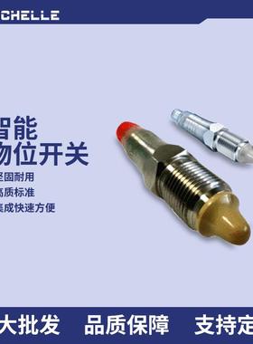 堡盟LBFS物位控制器限位开关音叉液位感应开关智能物位开关