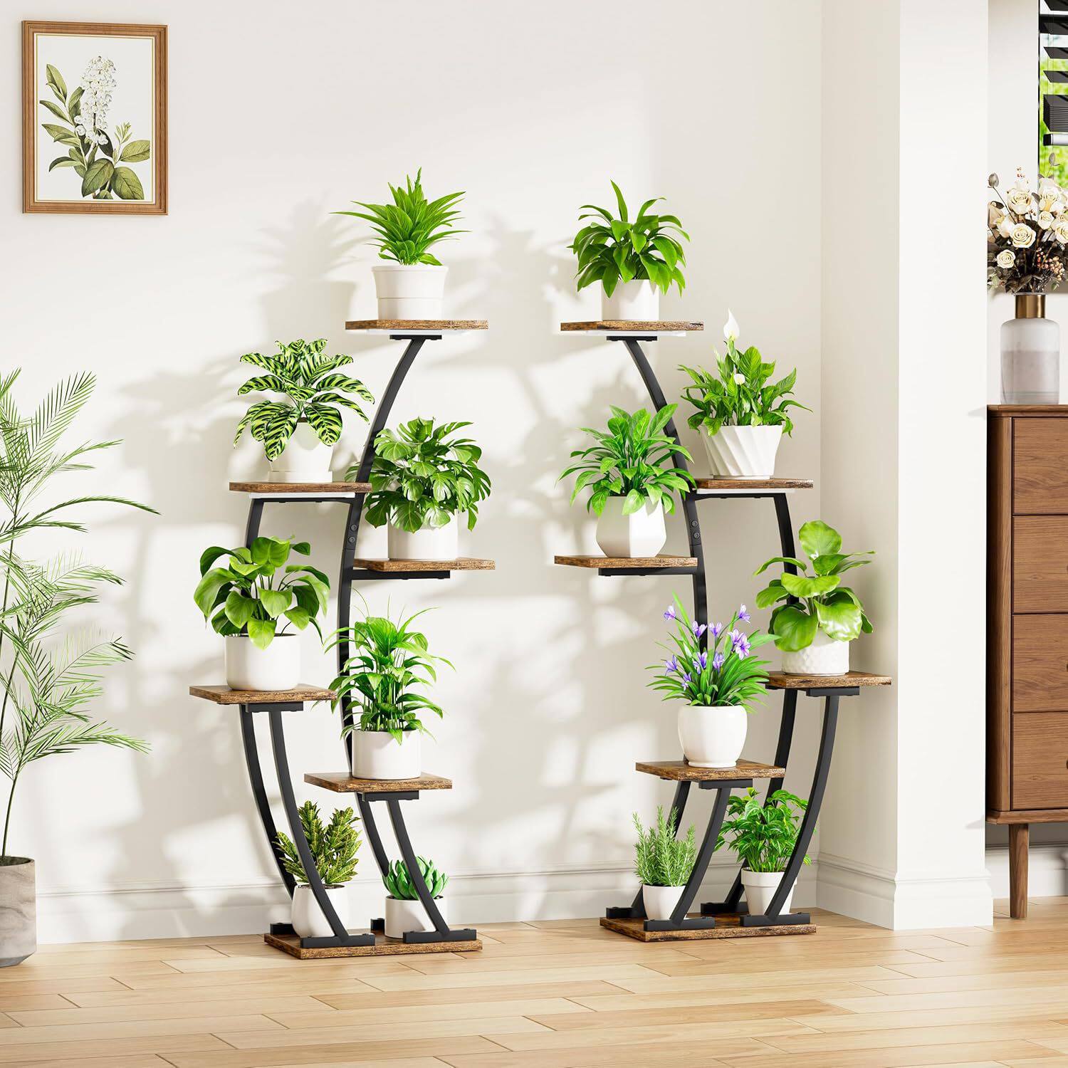 亚马逊多层植物展示架半月形客厅绿植架玄关靠墙花架带生长灯绿植
