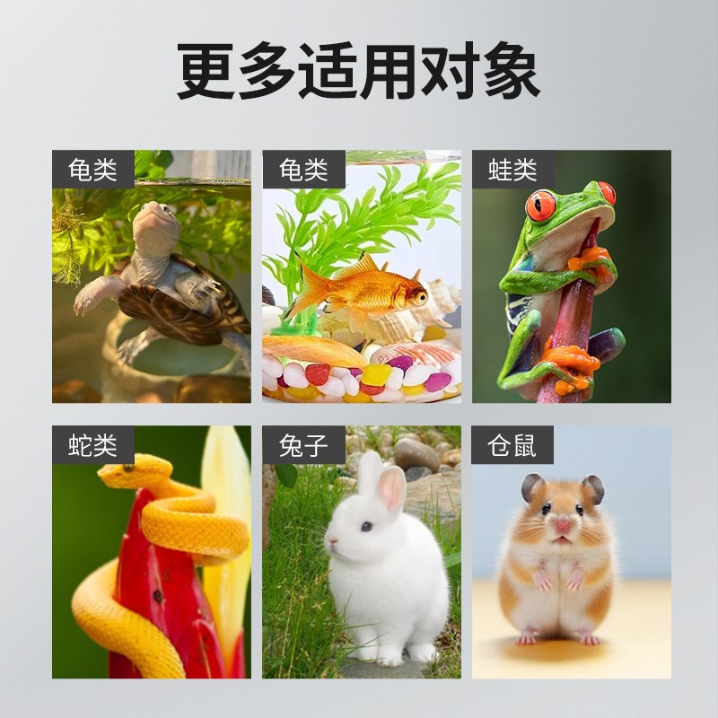 爬宠温控加热垫乌龟蜥蜴鱼缸角蛙智能保温守宫爬虫饲养箱恒温加温