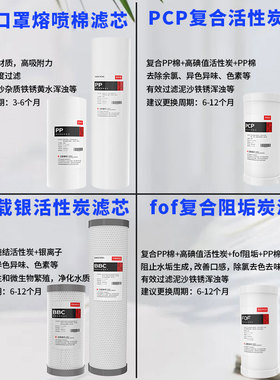 家用大白瓶净水器滤芯典丞大蓝瓶PP活性压缩炭阻垢型复合滤芯