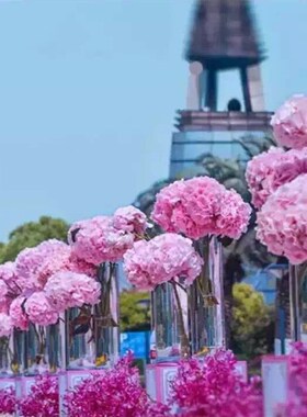 婚庆亚克力路引花瓶塑料圆筒富贵竹醒花桶超市沐浴澡花空瓶收纳筒