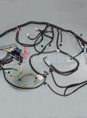 03-07LS34L60E4.85.36.0DBW用于自动挡汽车线束