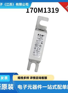 170M7084170M7085170M7086170M7090原厂陶瓷熔断器保险丝