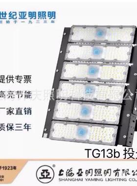上海世纪亚明/LED投光灯TG13b户外高杆工程灯塔吊灯/240W白光