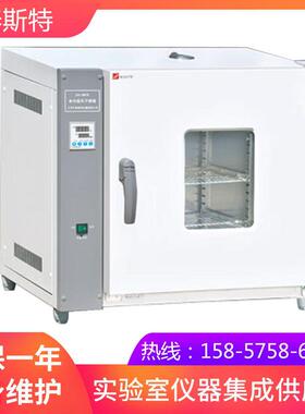 天津泰斯特202-3AB电热恒温干燥箱