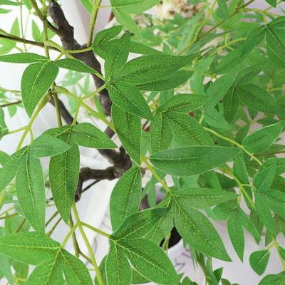 仿真10372南天竹假树仿真客摆件厅落植地盆栽造景绿摆居家大型假