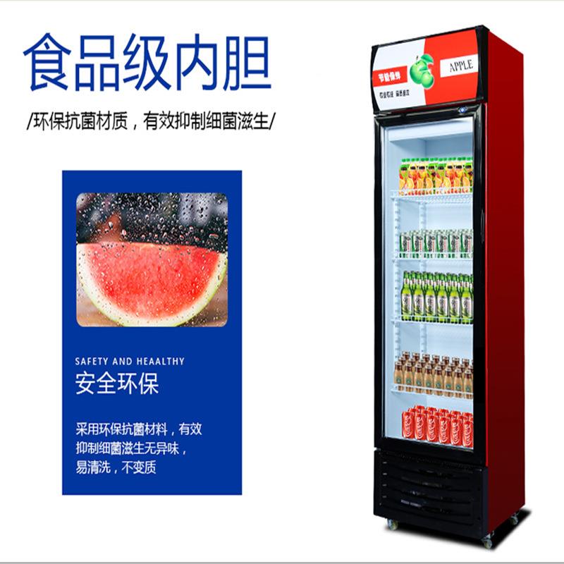 商用10055立藏式啤酒饮料展示柜保冷展示柜冷柜制冷设柜备鲜冷藏