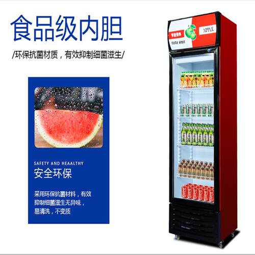 商用10055立藏式啤酒饮料展示柜保冷展示柜冷柜制冷设柜备鲜冷藏