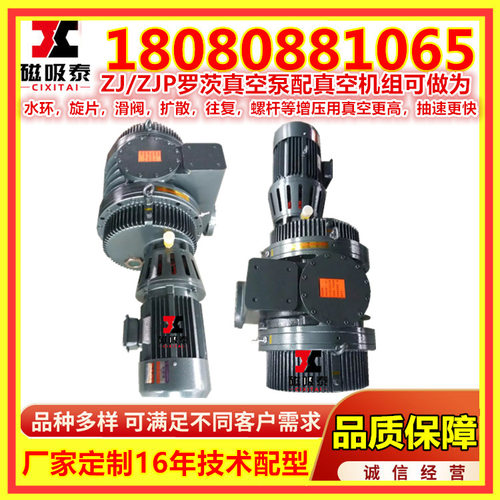 ZJ/ZJP3300罗茨真空泵18.5KW罗茨泵真空成型汕头3300L/S真空机组