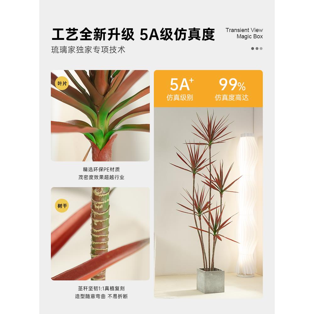 千年木绿植轻奢大型室内客厅龙血树假花植物盆栽落地摆件