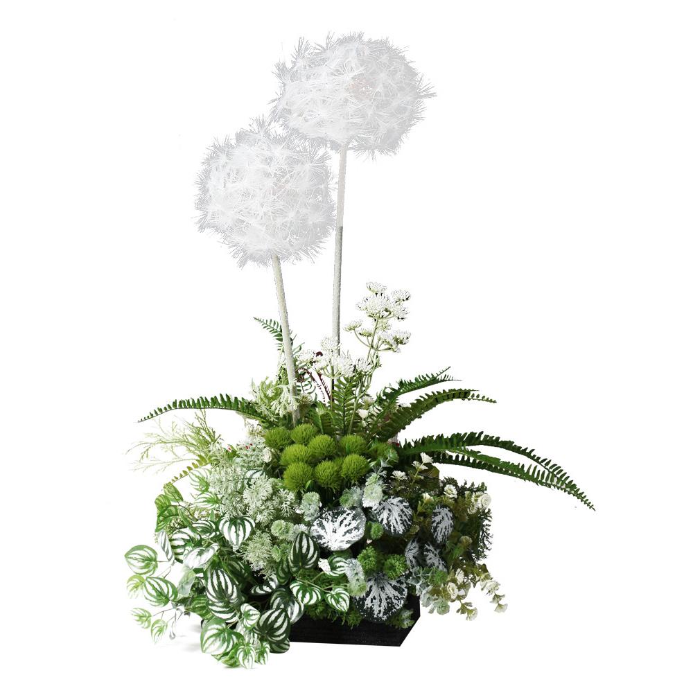 大型植物假蒲公英多肉植物手感花内景观角橱窗造20168055室景落装