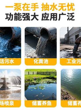 GSS锐尔特不锈钢小型污水泵F-N2333殖5U21P3养场水泥厂排污泵