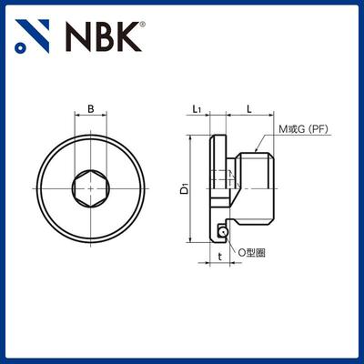 NBKSMS-G内六角法LHO兰螺塞平行管螺纹SSU34制F0机械密封螺塞工厂