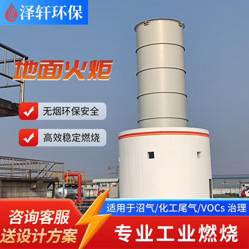 污水处理厂沼气地面火炬装置 内燃火炬80吨废气燃烧系统 自动点火