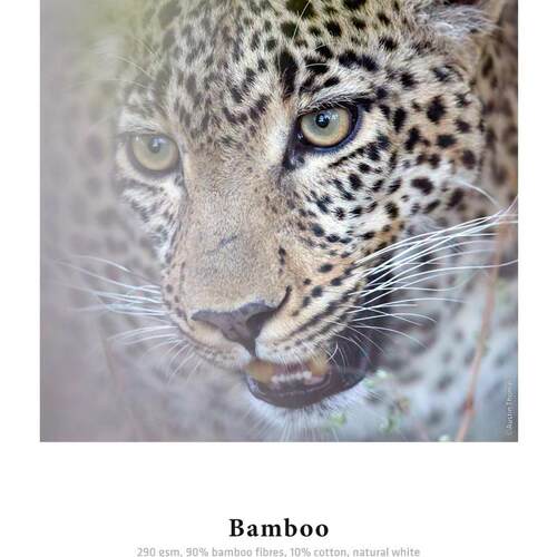 Hahnemuehle哈内勒CHB290克竹纤维艺术喷墨B9amboo20gA纸4/A2/24