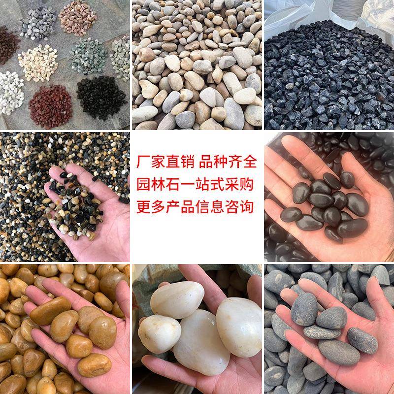 南京雨景花石白色鹅XYG卵石抛光路公园水池广场施工石布园林铺庭