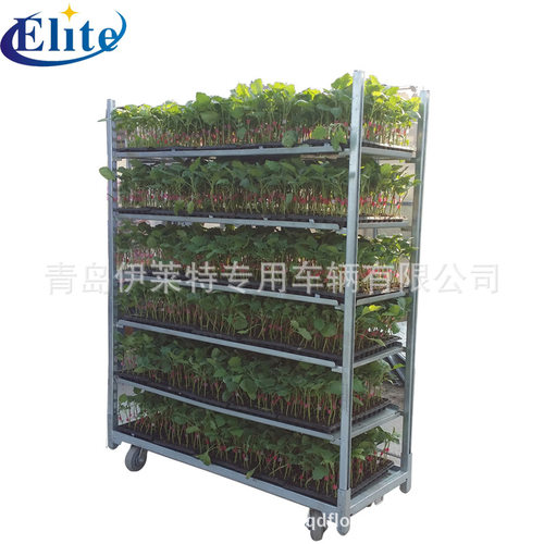 厂家直销带脚轮育苗车， 花卉蔬菜多层可拆卸，催芽，蔬菜育苗车