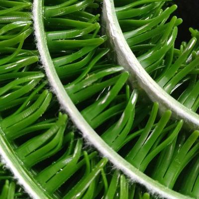 青金岛厂家淘金沙工沾金草进毯010吸布具收金草直金销