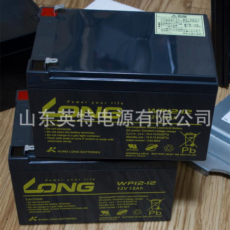 LONG广隆蓄电池 WP12-12 12V12AH仪器仪表 电子设备 进口仪器电瓶