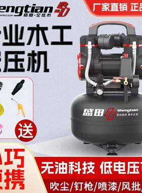 盛田默认项压机盛田葫芦机气泵202v家用2充空5小型空压机便携式气