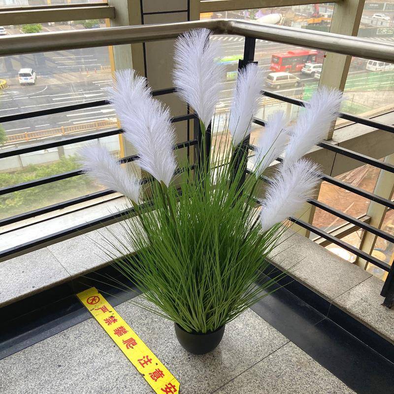 轻奢仿真芦苇盆栽大芦苇头9芦洋苇草婚庆厨窗拍摄道具装3936饰摆