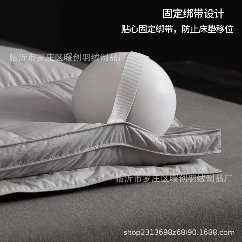 家立体层鹅绒丝绒床羽垫双酒店宾馆HOK民宿加厚款双人厂床褥子