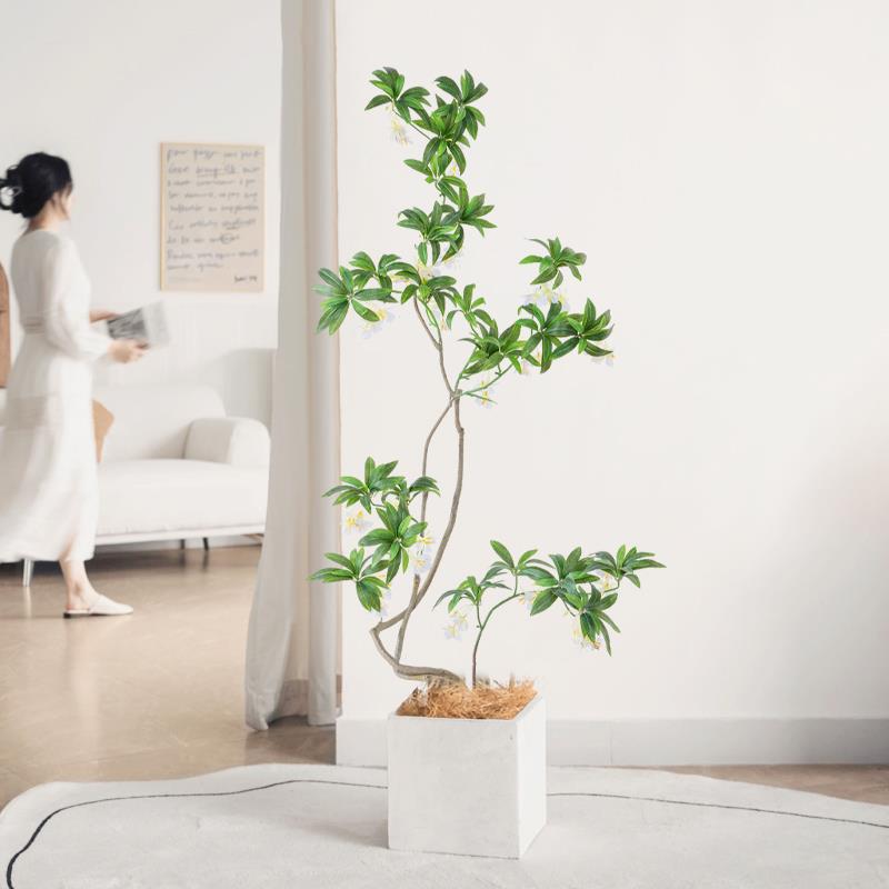 高端轻奢栽仿绿植盆水石真榕仿生植物客假树室内厅装饰花11景观摆