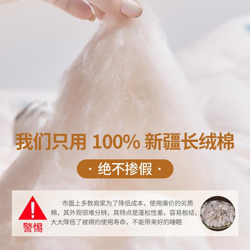 床铺垫子秋软IOS棉花垫被褥子家用卧垫室冬季保暖加厚学生宿舍单
