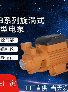 出口型家用自吸旋涡泵QB60QB70小型增压纯铜电机220V清水泵