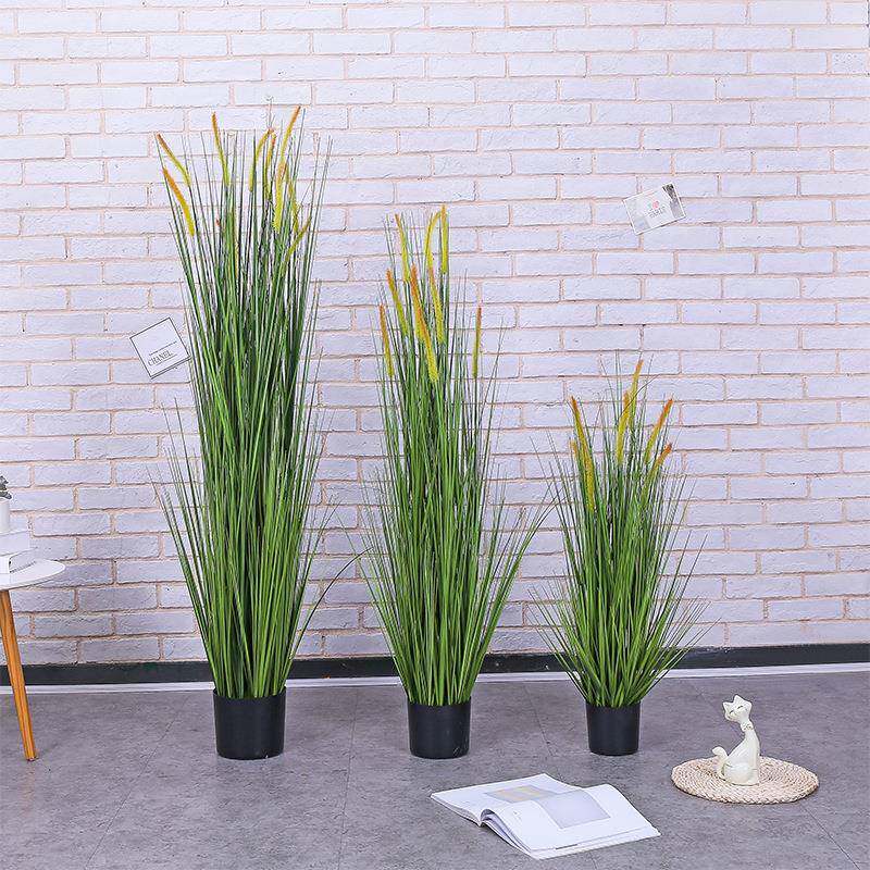 北欧芦苇仿真洋葱草狗尾巴假草大型植物盆景装饰盆栽室内落地绿植