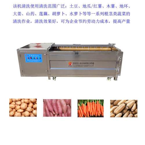 直销木薯清洗机根茎类蔬菜清洗机胡萝卜/红薯/木薯