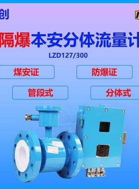 LZD127/250G管段嵌入式本安流量计管径LZC电磁本安工业废水精准